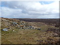 Moorland near Chartist's Cave in Llangynidr Community