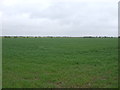 Farmland off Mill Lane in Brant Broughton and Stragglethorpe