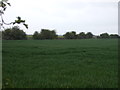 Farmland off Broach Road in Navenby & Brant Broughton Ward