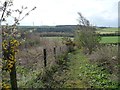 Footpath to Fellside Plantation in DH7 0EA