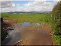 Puddle near Wheeldon in TQ9 7JY