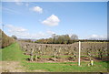 Orchard, Warren Farm in TN15 9EA