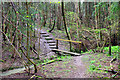 Stream crossing, Willand Wood in Ebernoe
