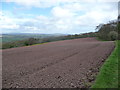 View over Herefordshire ploughsoil in HR2 0RL