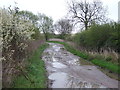 Meadow Lane (track) heading east in LN6 9PF