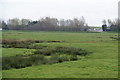 Flat and damp farmland near the Ribble in PR4 1TU