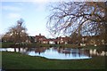 Village pond on the green at Nun Monkton in YO26 8ER