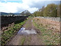 Dry stone walled droveway in the Black Mountains in NP7 7LU