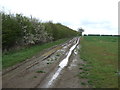 Muddy farm track near Fenton in Fenton