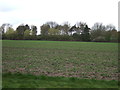 Farmland off Long Lane in Barnby in the Willows