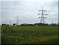 Farmland and pylons, Bleak House Farm in NG24 2SN