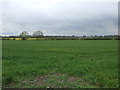 Farmland near Coddington in NG24 2QE