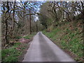 Quarry road on the hillside in LL20 7DA