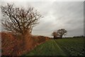 Footpath to Drinkstone Green in Gedding