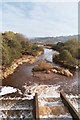 Salmon Run on River Breamish from Hedgeley Bridge in NE66 4HY