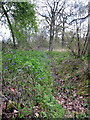 Dry ditch round Linford Wood in MK13 7HD