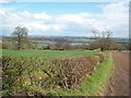 Arable Farmland Overlooking Ogston Carr in DE55 6DE