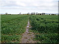 Path through wheat field in PO20 2EU
