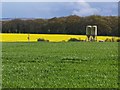 Twin silos amid bright green and yellow fields in SP4 6AT