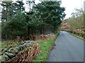 Minor road passing Hell Bank Plantation  in Beeley