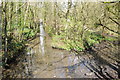 Stream below Cherington Pond in GL8 8NZ