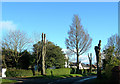 Pollarded Trees in KA7 4ED