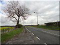Looking East along Hazard Lane in DH5 9QG