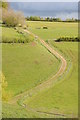 Track near Gatcombe Farm in GL6 9AT