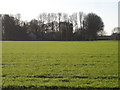 Field on New Court Farm in SP5 3HZ
