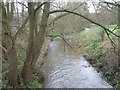 Smestow Brook in DY3 4PH