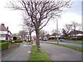 Hillfoot Avenue at Hunts Cross in L25 0PE