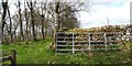 Gate at edge of Quarry Wood in G84 7EH