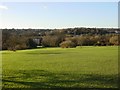 Withdean Park, looking West from the centre in BN1 6UZ