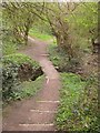 Footpath, Coombe Brook Valley in BS5 7SR