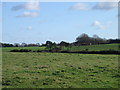 Alderholt Common towards Warren Park Farm in SP6 3DF