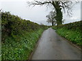 Country lane between Llanychan and Hendrerwydd in LL16 4LL