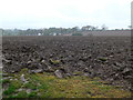 Freshly ploughed field, Llanychan in LL16 4LL