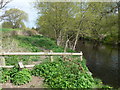 Footpath beside the river Elwy, just north of St Asaph in LL17 0HT