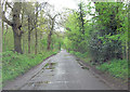 Harpsden Road passes through High Wood in RG9 4JX
