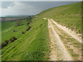 Track on Bincombe Hill in DT3 6NL