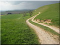 Track above Bincombe in DT3 6NL