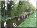 Thorney River in PE6 0RF