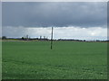 Farmland near Thorney in PE6 0RZ