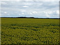 Farmland off French Drove in PE6 0PF