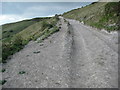 Track ascending White Horse Hill in DT3 6EW