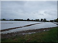 Protected crop field off Cuckoo Lane in PE11 4AG