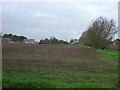 Farmland near Risegate in PE11 4EZ