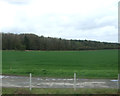 Farmland towards Hurn Wood in NG32 2NT
