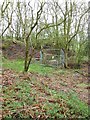 Old mine in the valley of the Red Burn in NE46 4HQ
