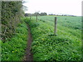 Path between Eastergate and Barnham in PO20 3UY